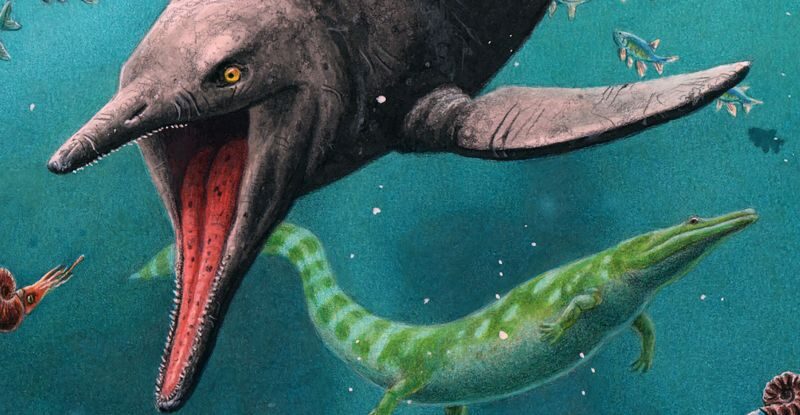 На віддаленому арктичному острові знайдено найдавнішого іхтіозавра, відомого науці