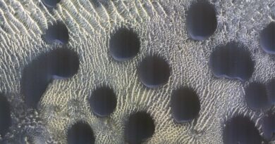 NASA помітили дивні піщані дюни на Марсі