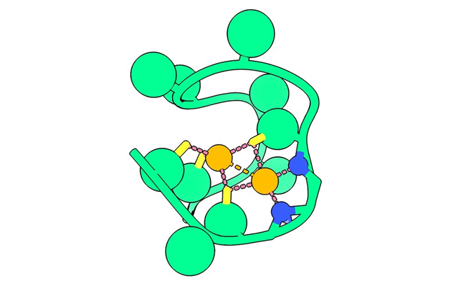 лінія зелених кіл, що представляють амінокислоти в пептиді, що містить два помаранчеві атоми нікелю