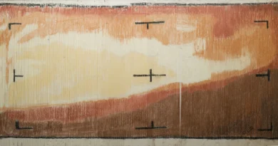 Перше зображення Марса крупним планом насправді було малюнком за номерами