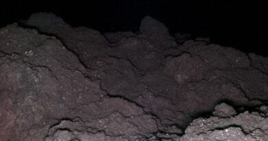 Вчені виявили компонент РНК, похований у пилу астероїда