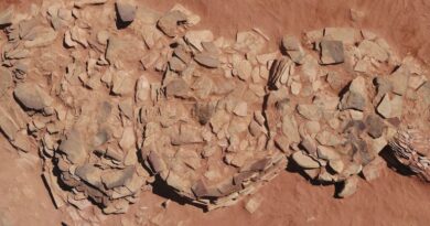 Знайдені стародавні споруди в Аравійській пустелі розкривають фрагменти таємничих ритуалів