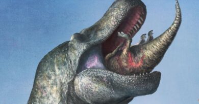Губи, як у ящірки: Нове дослідження робить дивовижне відкриття про тиранозавра рекса