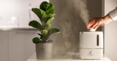 Як підвищити вологість повітря у квартирі: прості та ефективні кроки