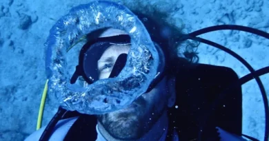 Американський вчений проживе під водою 100 днів у рамках рекордного експерименту