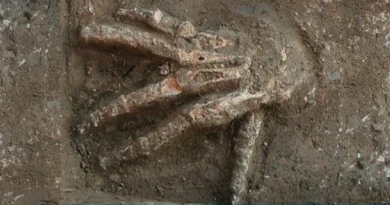 Дослідники виявили яму з відрізаними руками, яка може бути залишками жахливого давньоєгипетського обряду