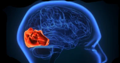 У підлітків з синдромом нічного апное виявлено відмінності в роботі мозку: Дослідження