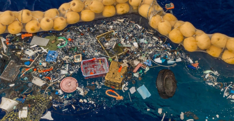 Пластикове сміття у тихоокеанській сміттєвій плямі приваблює інвазивні види
