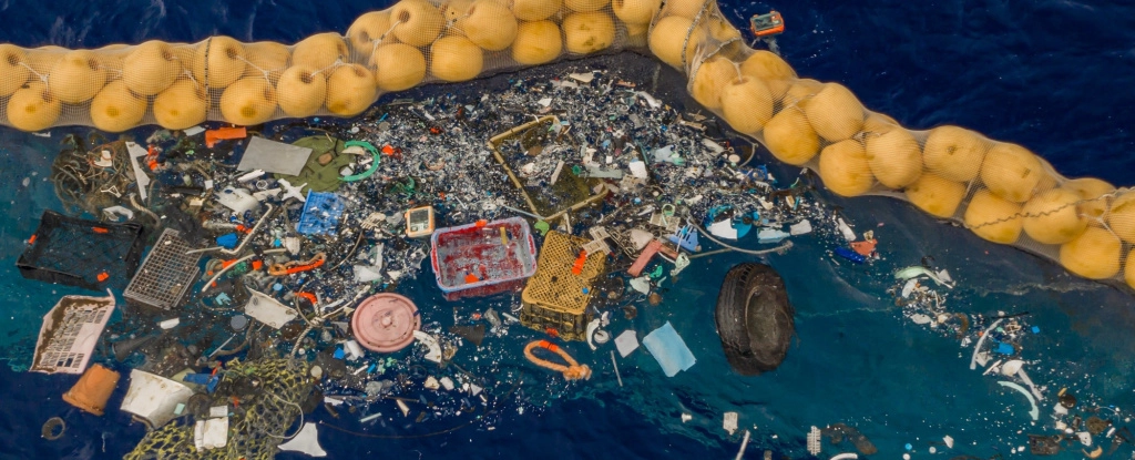 Пластикове сміття у тихоокеанській сміттєвій плямі приваблює інвазивні види