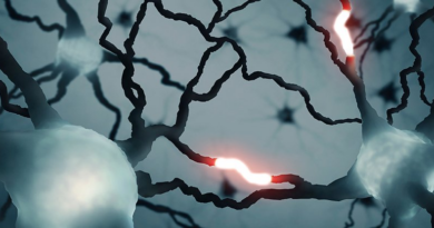 Нейробіологи зробили революційне відкриття унікального мозкового сигналу