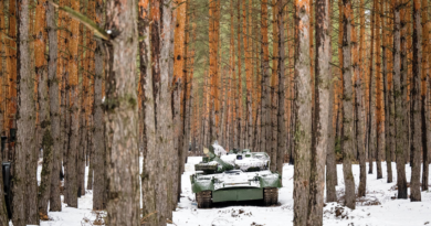 Вчені планують повернення зруйнованих війною лісів України