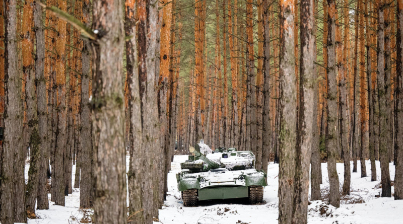 Вчені планують повернення зруйнованих війною лісів України