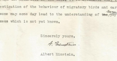 Давно втрачений лист доводить, що Ейнштейн передбачав, що тварини мають "надчуття"