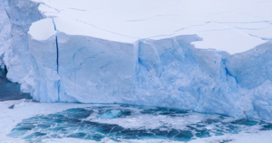 Потоки антарктичної талої води загрожують зруйнувати циркуляційні течії океанів
