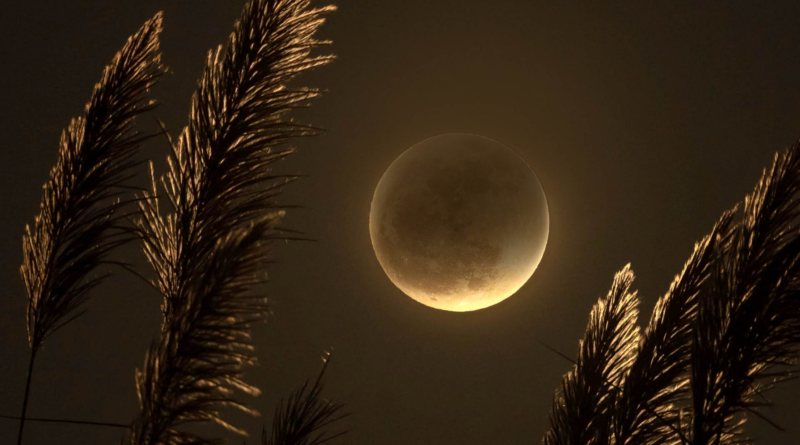Місячне затемнення в дзеркальну дату буде вже завтра
