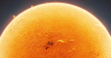 NASA зробило приголомшливе зображення Сонця зблизька, яке розкриває рідкісні приховані деталі