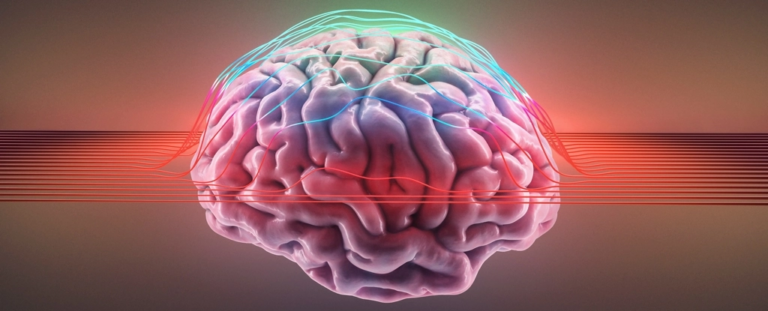 Випадкова подія мільйон років тому назавжди змінила людський мозок