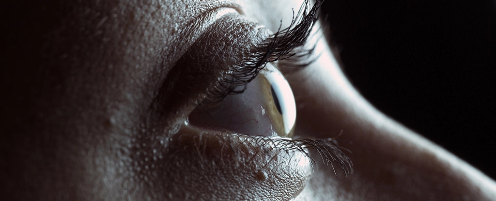 Новий спосіб активування сплячих клітин сітківки ока може відновити зір