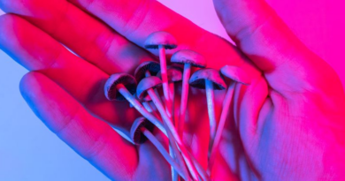 Чарівні гриби можуть мати унікальний вплив на дальтонізм, згідно з нещодавнім дослідженням