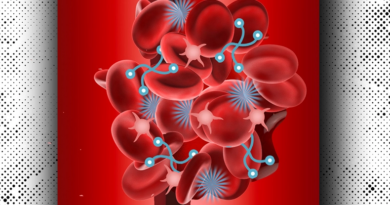 Нова синтетична система згортання крові може допомогти зупинити внутрішню кровотечу
