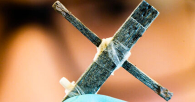 Вчені представили перший у світі дерев'яний електричний транзистор
