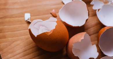 10 способів використати залишки яєчної шкаралупи у вашому домі та саду