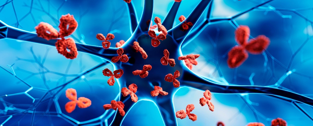 Нове дослідження пояснює, як вірус викликає розсіяний склероз у людей