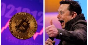 Ілон Маск обрушив курс криптовалюти одним твітом