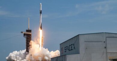 SpaceX відправила на орбіту вантажний корабель Cargo Dragon із провізією та обладнанням для досліджень