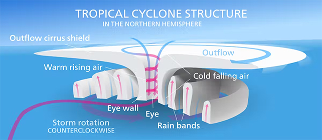 Діаграма, що демонструє внутрішню структуру тропічного циклону північної півкулі