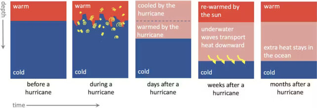 Серії діаграм, які показують, що відбувається з температурою води до, під час і після циклону.