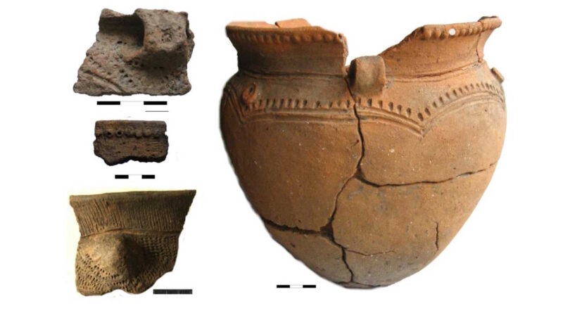Кістку віком 5000 років біля решток трипільського будинку приписали мігрантці