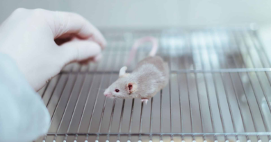 Терапія мікрочастинками усунула симптоми розсіяного склерозу у мишей