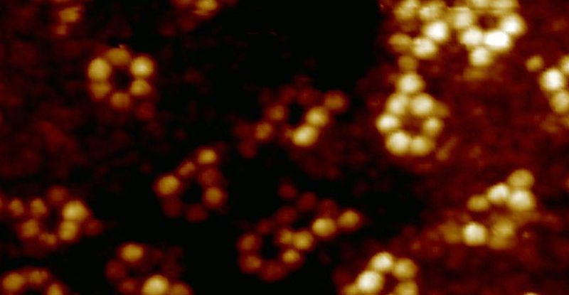 Перший у світі рентгенівський знімок одного атома розкриває хімію на найменшому рівні