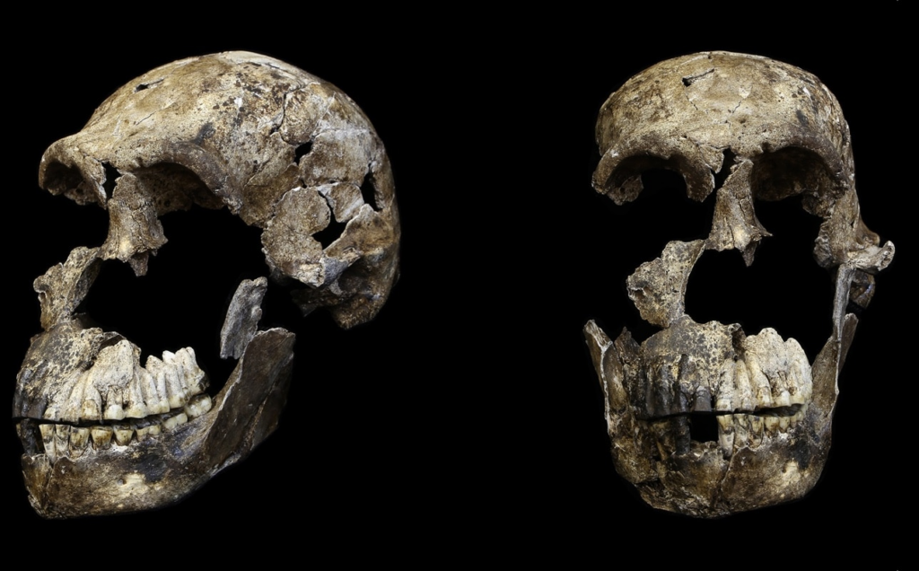 Антропологи знайшли найдавніші поховання в історії роду Homo