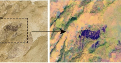 Археологи за допомогою дронів виявили наскельні малюнки віком 7000 років