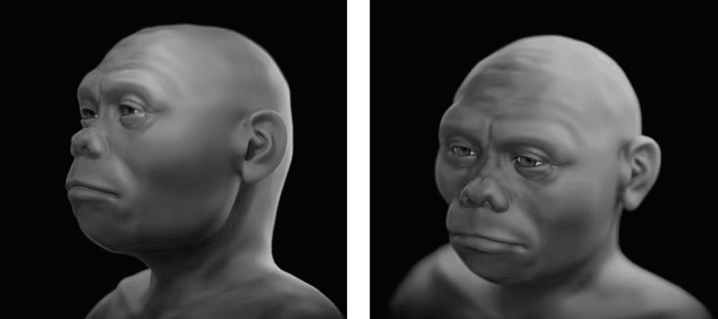 Дослідники реконструювали обличчя «справжнього хобіту»
