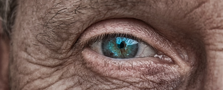 Виявлено потенційний ключ до подовження тривалості життя шляхом підвищення рівня однієї амінокислоти