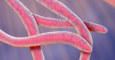 Інвазивна бактерія може бути спричинником ендометріозу: Нове дослідження розкриває зв'язок