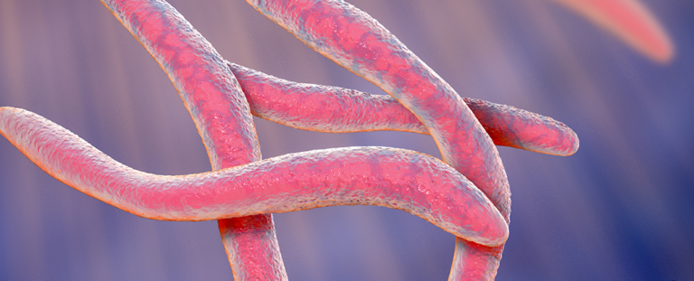 Інвазивна бактерія може бути спричинником ендометріозу: Нове дослідження розкриває зв'язок