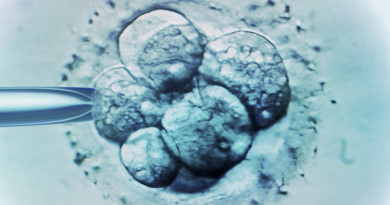 Наука на новому рівні: Вперше створені синтетичні моделі людських ембріонів