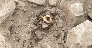 Археологи виявили 3000-річну мумію під купою сміття