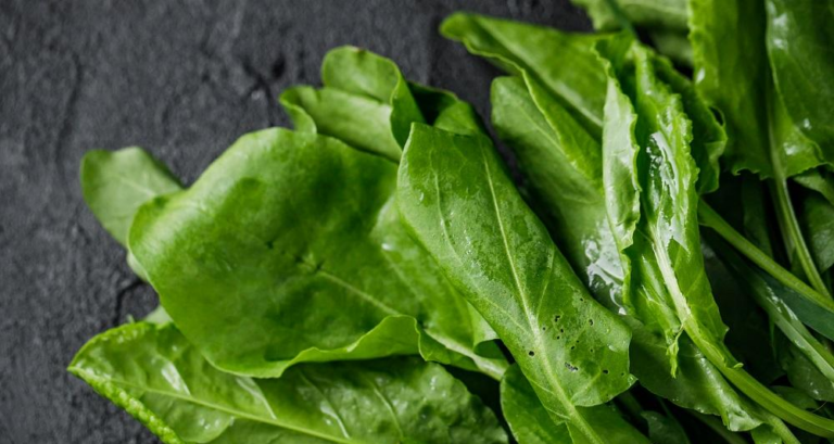 Як правильно заморозити шпинат: ефективний спосіб збереження свіжості