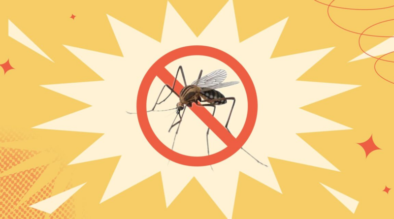 Як позбутися комарів на ділянці: дієві лайфхаки
