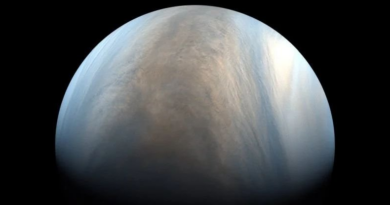 На Венері може процвітати життя: нове дослідження