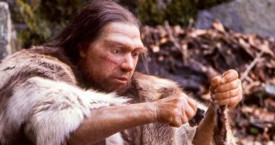 Винні неандертальці: як предки людини "зіпсували" ДНК