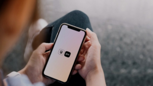 Портал державних послуг "Дія" не працюватиме цієї ночі