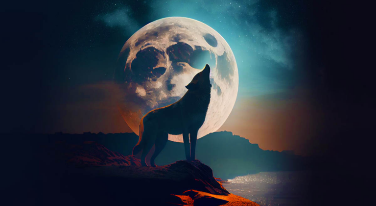 Вовки розрізнили людей за голосами