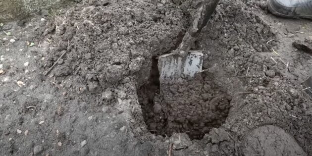 Коли і як садити гортензію: викопайте яму