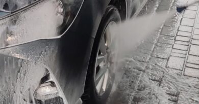 Як очистити автомобіль від літніх забруднень